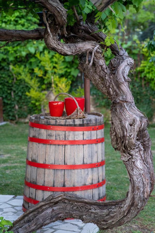 Sečovlje Casa Coronicaヴィラ エクステリア 写真
